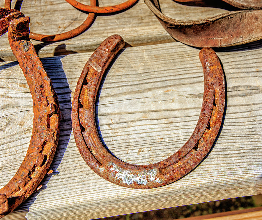 Rusty Horseshoes Found by Curators of the Ghost Town of St. Elmo Photograph by Peter Ciro