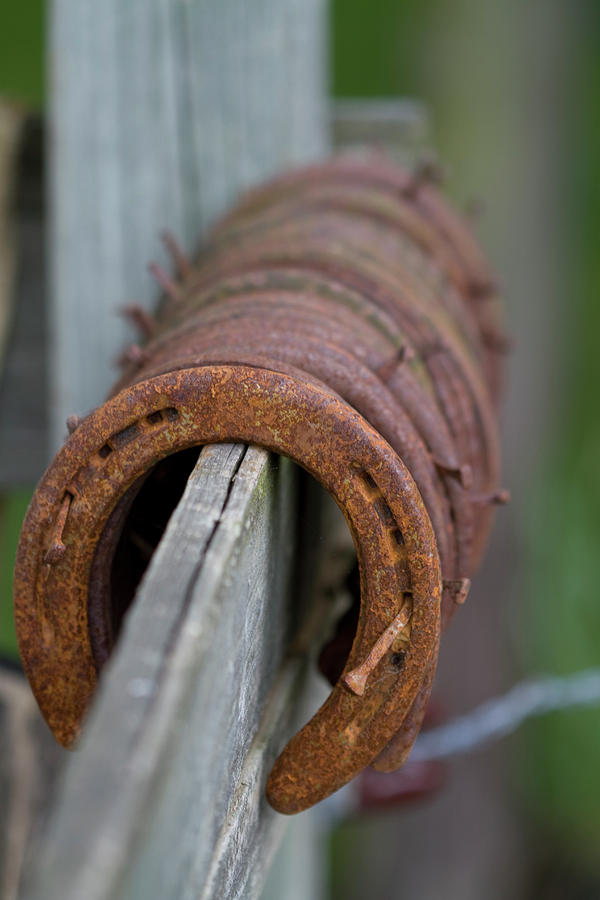 Rusty Horseshoes Photograph by Kathy Clark