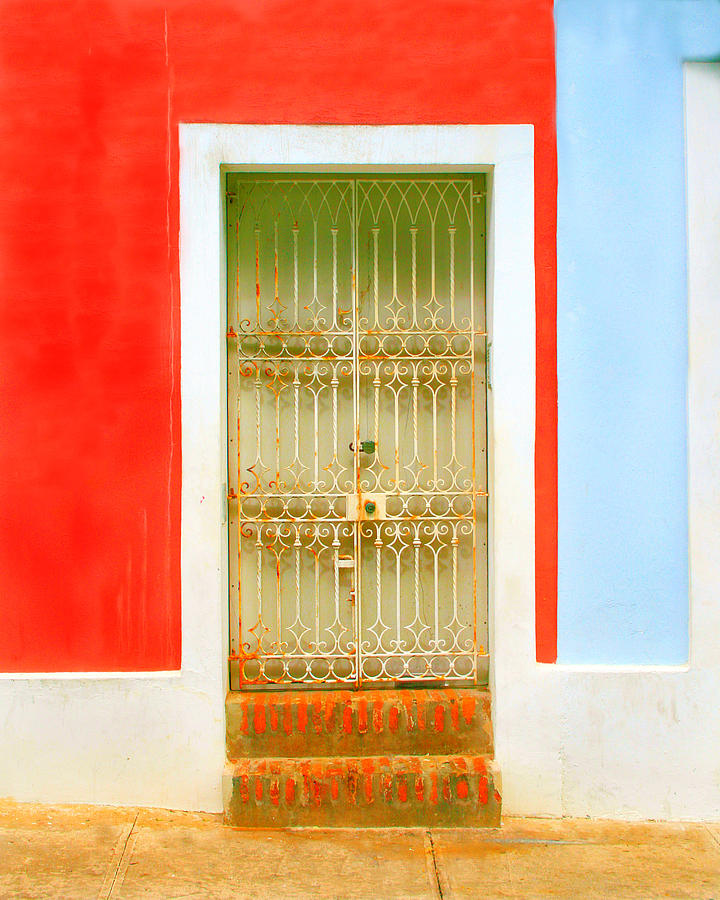 Rusty Iron Door Photograph by Perry Webster | Fine Art America