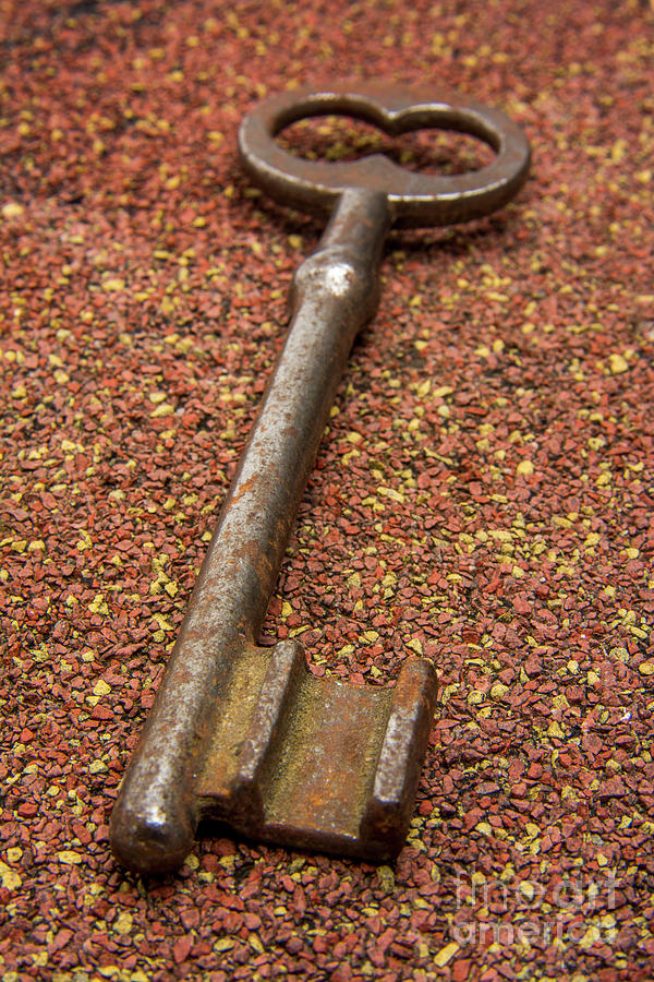 Key Photograph - Rusty key by Bernard Jaubert