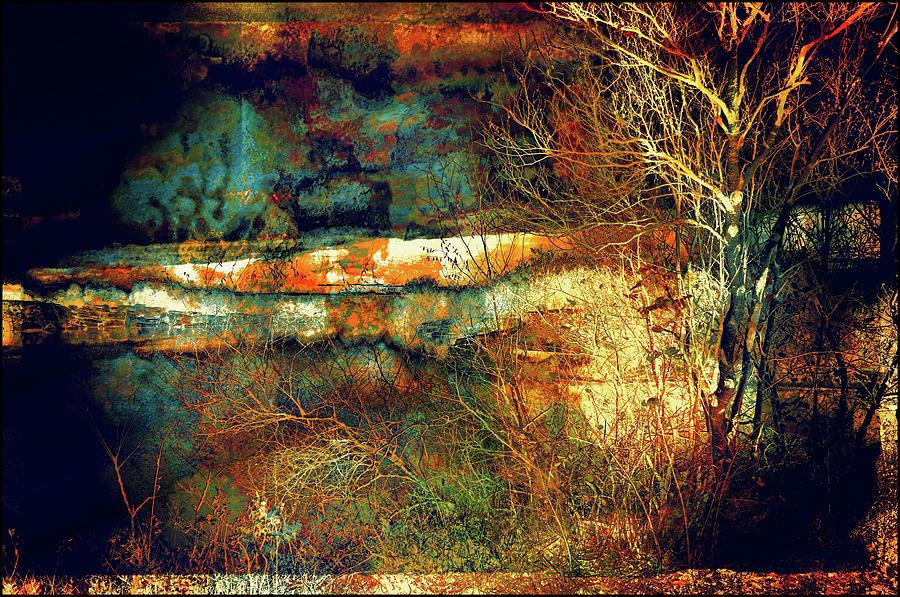 Rusty Landscape Photograph by Lilia D