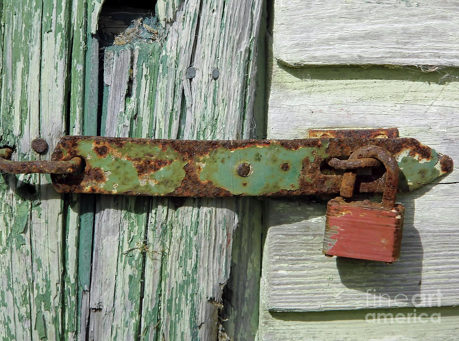 Rusty Latch and Lock Photograph by D Hackett