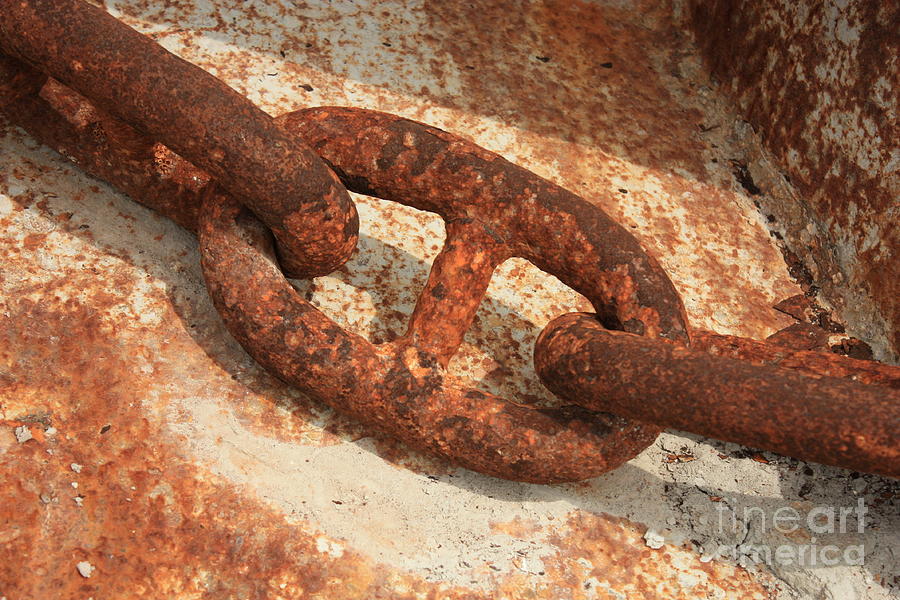 Rusty Links 1 Photograph by Carol Groenen