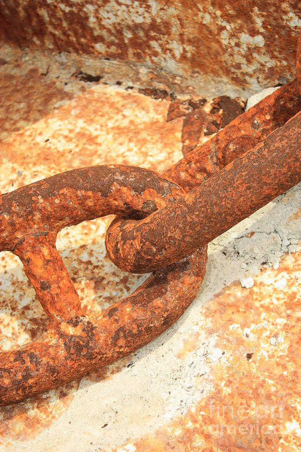 Rusty Links 3 Photograph by Carol Groenen