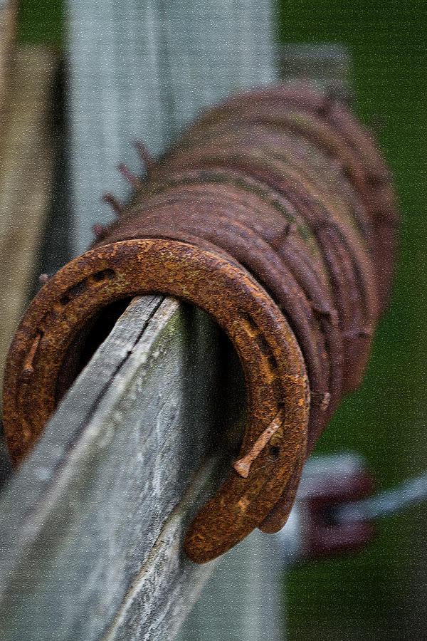 Rusty Lucky Horseshoes Photograph by Kathy Clark