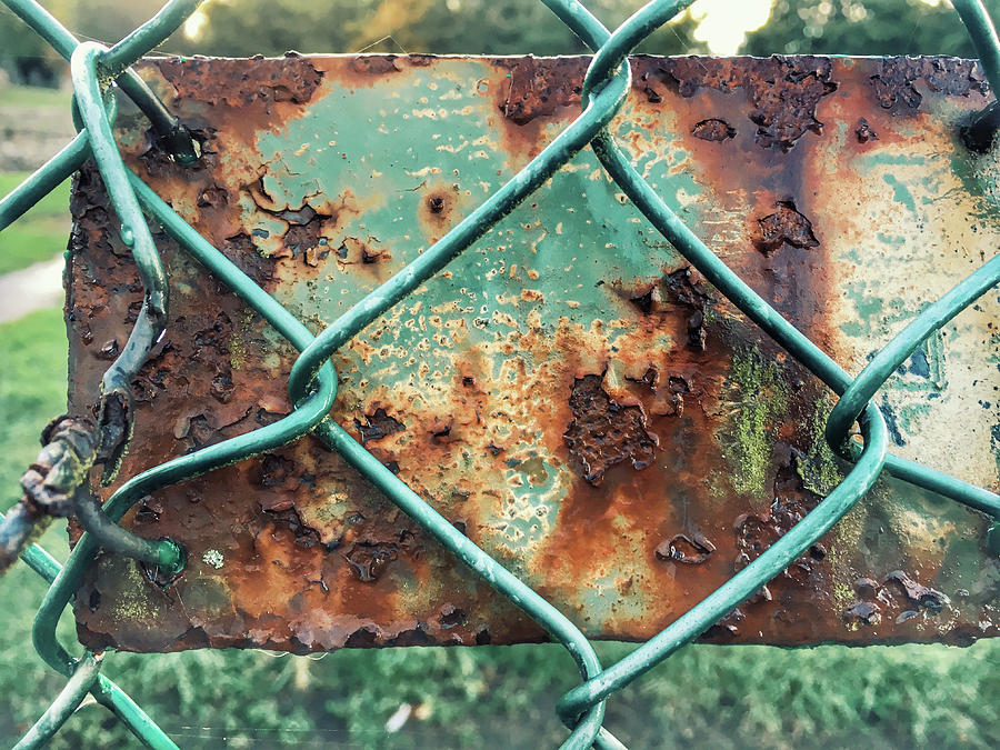 Rusty metal detail Photograph by Tom Gowanlock