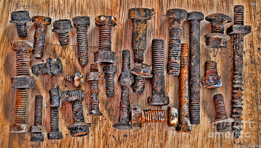 Rusty Nut Collection 1 Photograph by Debbie Portwood