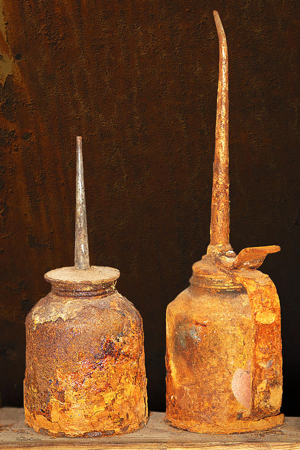 Rusty Oilcans Photograph by Phyllis Denton