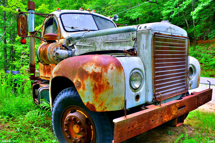 Rusty Old Truck Photograph by Lisa Wooten