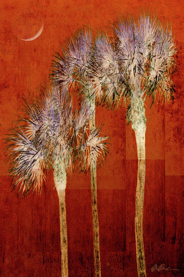 Rusty Palms And Crescent Moon Digital Art