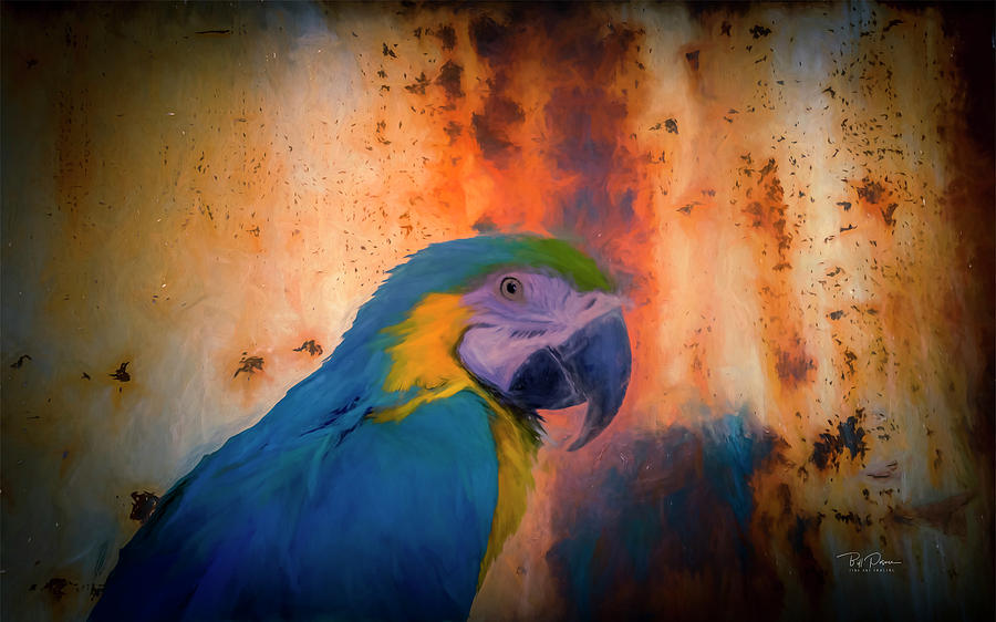 Rusty Parrot  Photograph by Bill Posner