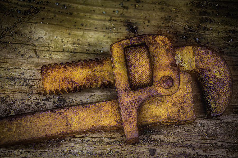Rusty Pipe Wrench Photograph by Garry Gay