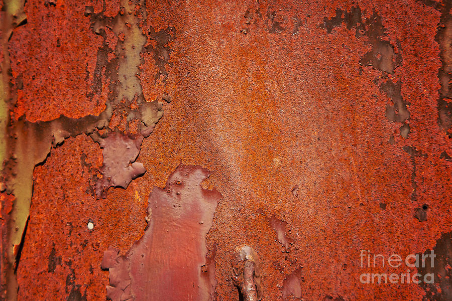 Abstract Photograph - Rusty red metal by Sophie McAulay