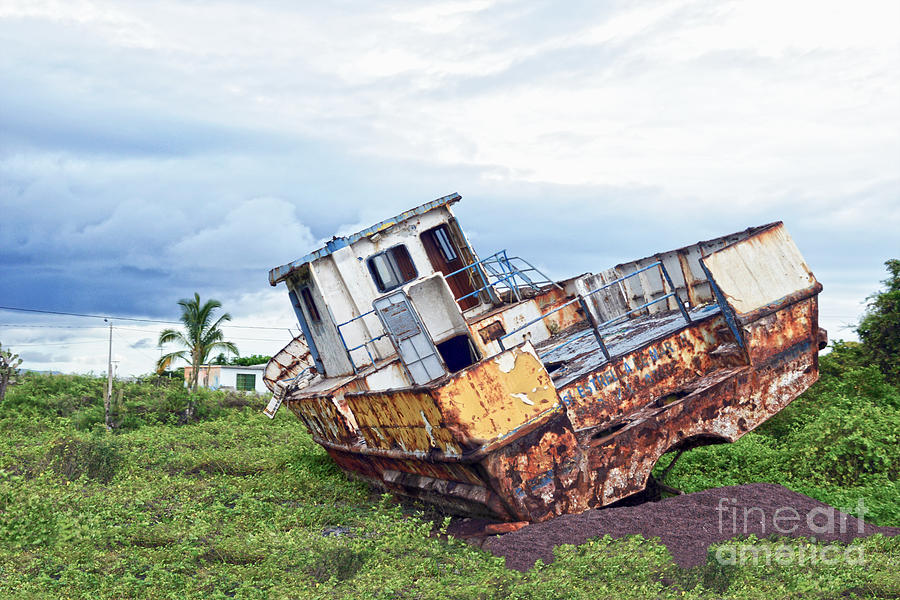 Rusty Retired Fishing Boat Photograph by Catherine Sherman