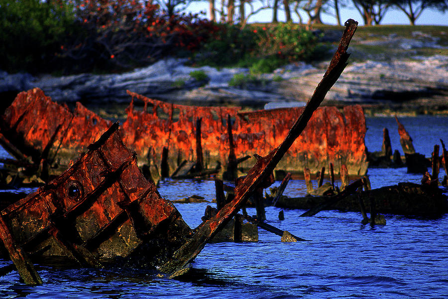 Rusty Ribs Photograph by Mike Flynn
