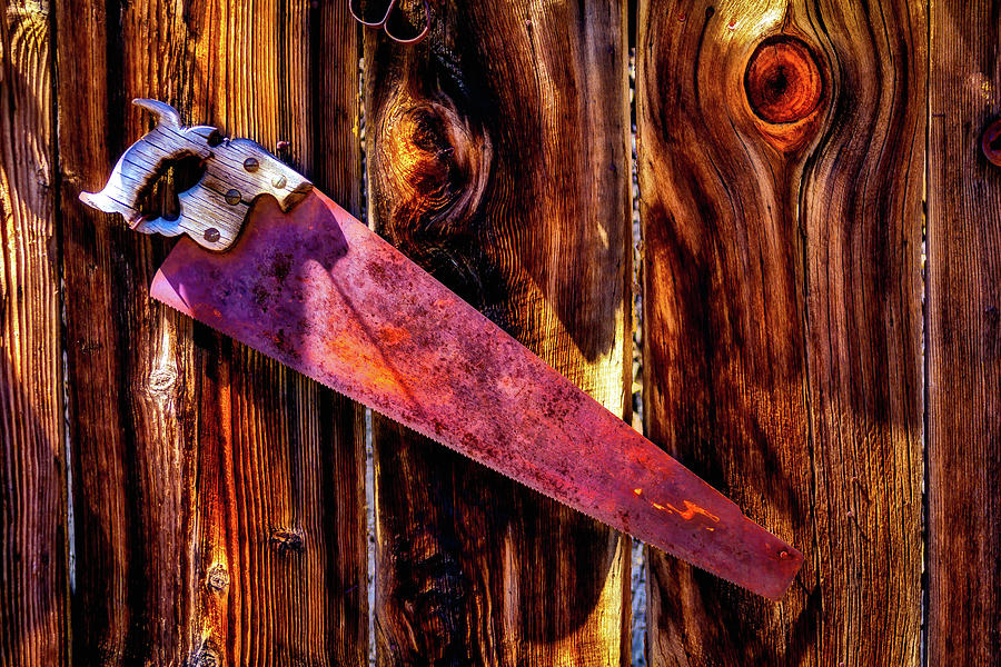  Rusty Saw On Fence Photograph by Garry Gay