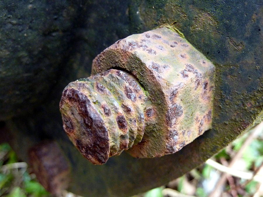 Rusty screw Photograph by Lukasz Ryszka