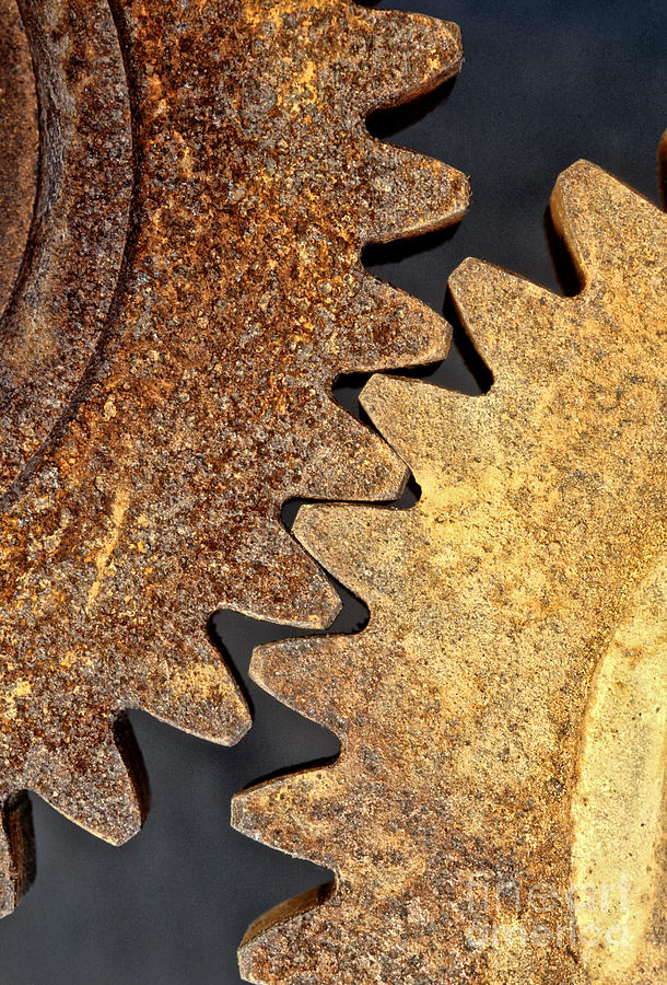 Rusty Spur Gears Photograph by Inga Spence Rusty Spur Gears Photograph by Inga Spence