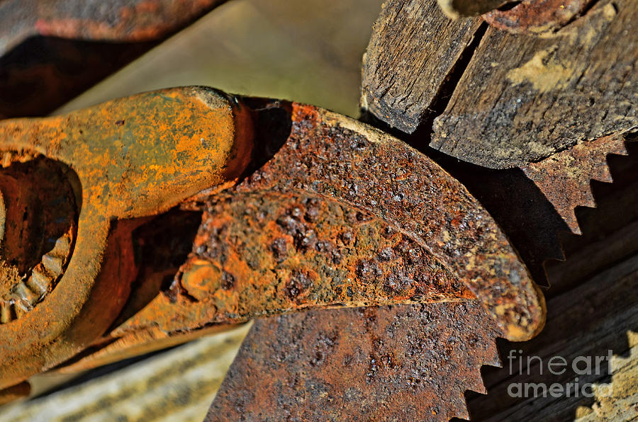 Rusty Tools 3  Photograph by Debbie Portwood