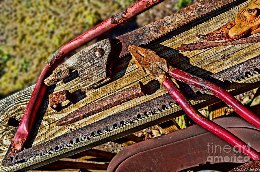 Rusty Tools 4  Photograph by Debbie Portwood