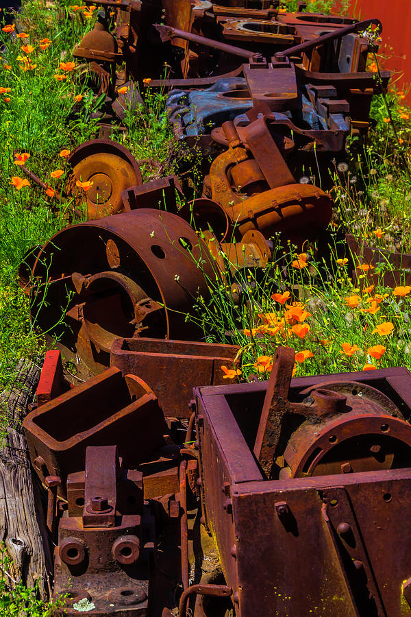 Rusty Train Parts In Poppies Photograph by Garry Gay