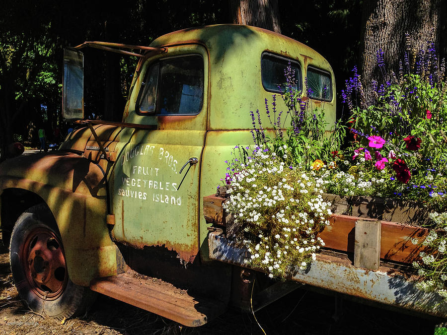 Rusty Truck with Flowers Photograph by Aashish Vaidya