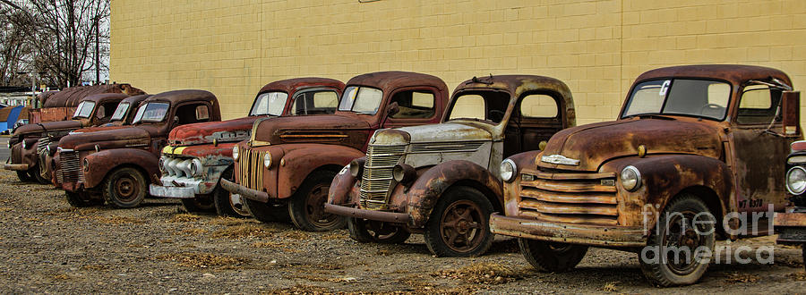 Rusty Trucks Photograph by Steven Parker