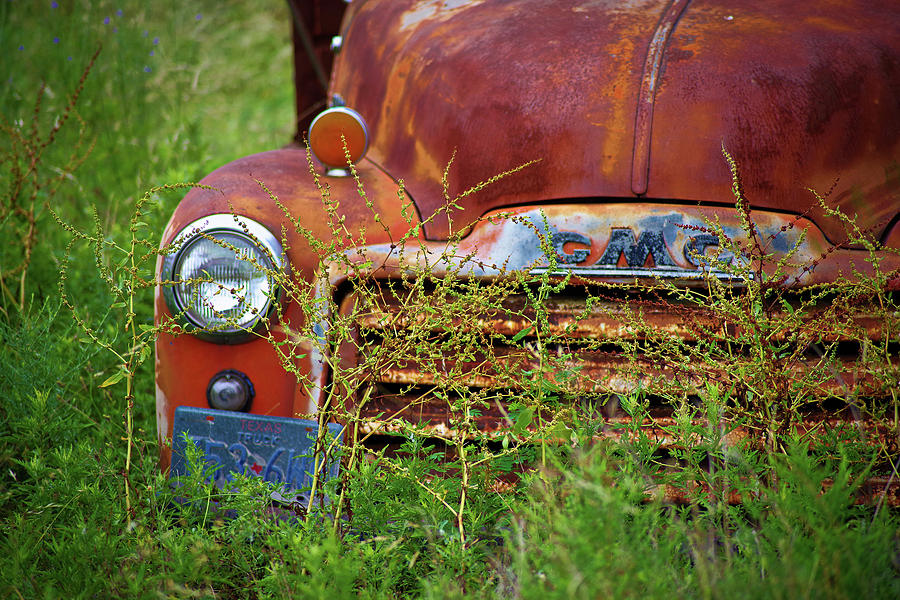 Rusty Weeds Photograph by Sabrina Einsla - Fine Art America