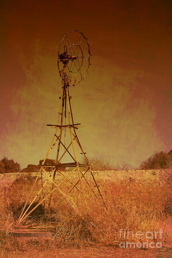 Rusty Windmill Photograph by Elaine Teague