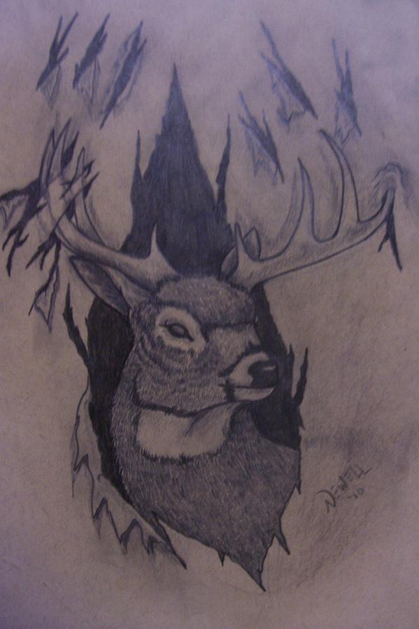 Deer Drawing - Rut Rage by Chris Newell