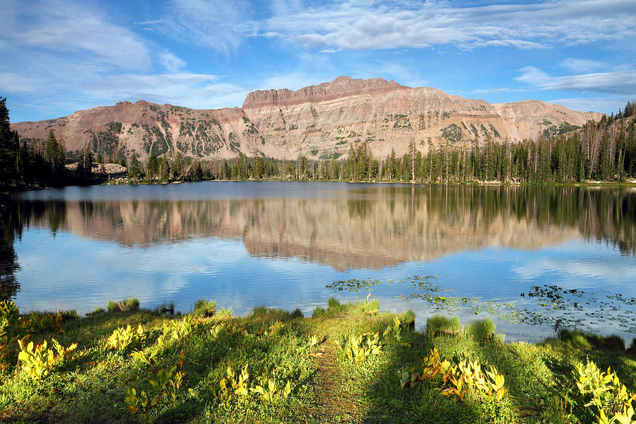 Ruth Lake and Hayden Peak Photograph by Brett Pelletier
