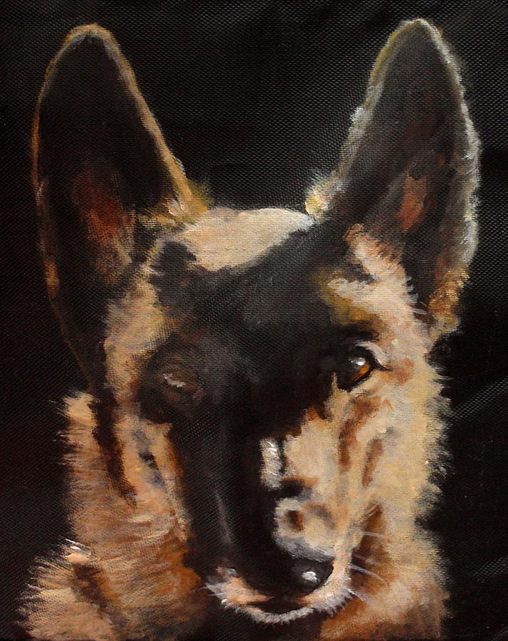 German Shepherd Painting - Ryan by Carol Russell