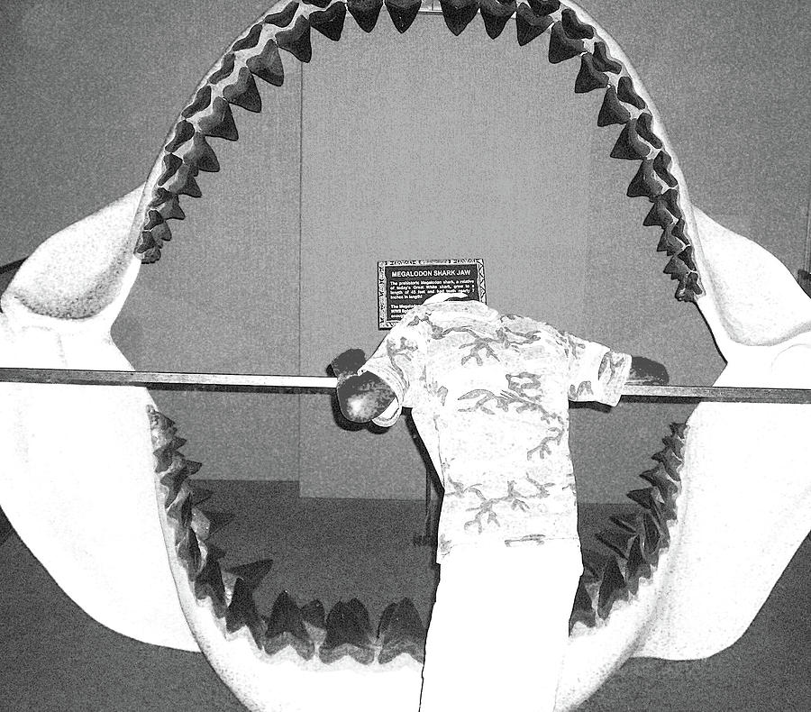 Jaws Photograph - Ryan the Megalodon by Ick