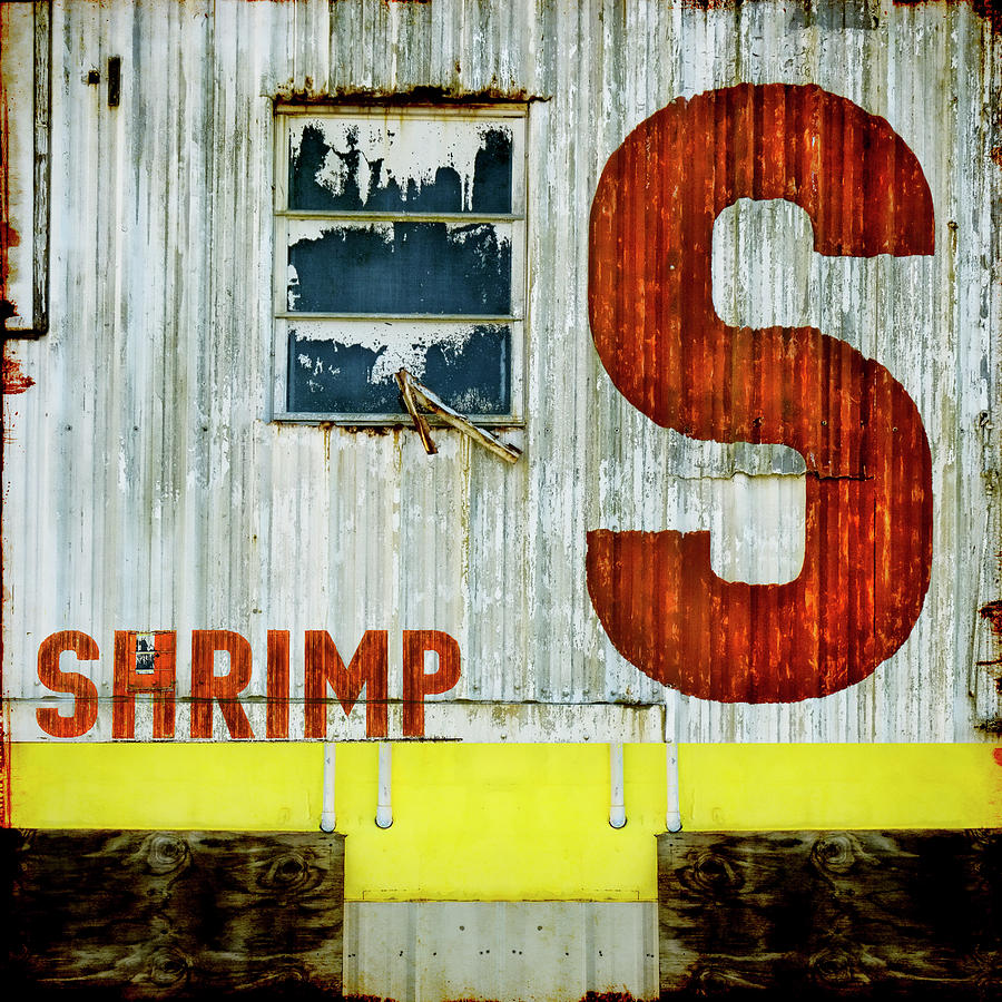 S is for Shrimp  Mixed Media by Carol Leigh