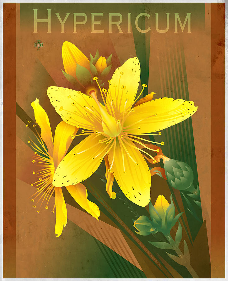 St. Johns Wort Floral Print Digital Art