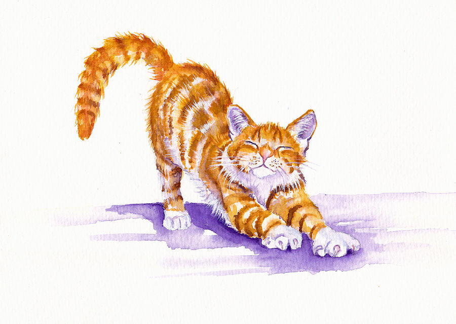 Cats Painting - S-T-R-E-T-C-H   Ginger Cat by Debra Hall