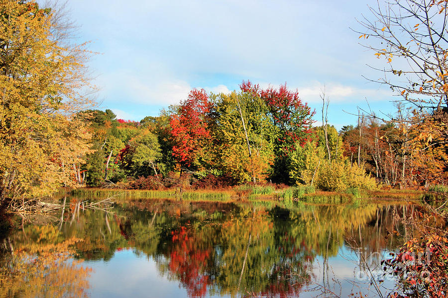 Sabattus River in Fall Photograph by Sandra Huston