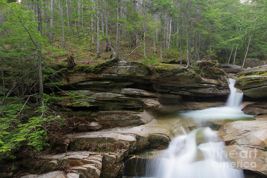 Nature Photograph - Sabbaday Falls - Kancamagus Highway, New Hampshire by Erin Paul Donovan