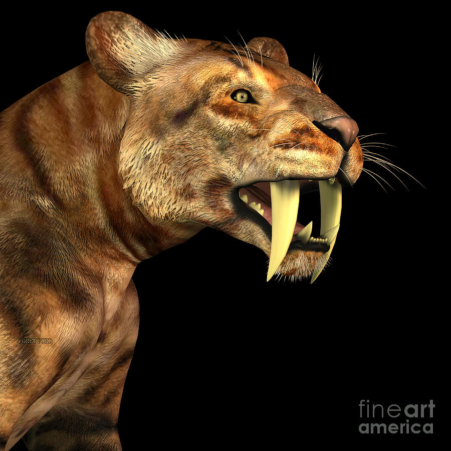 Saber-tooth Cat on Black Painting by Corey Ford