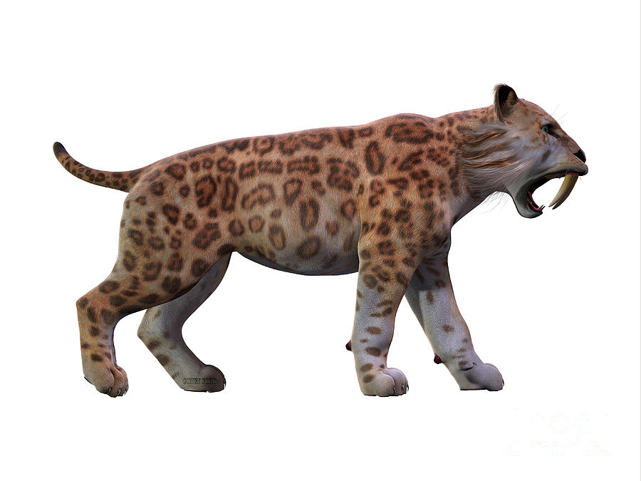 Prehistoric Painting - Saber-toothed Cat Profile by Corey Ford