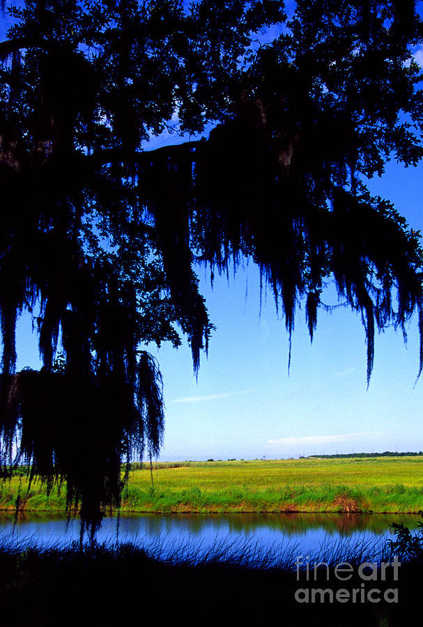Sabine National Wildlife Refuge along the Creole Nature Trail Photograph by Thomas R Fletcher