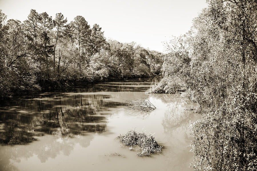 Sabine River Near Big Sandy Texas Photograph Fine Art Print 4081 Photograph by M K Miller