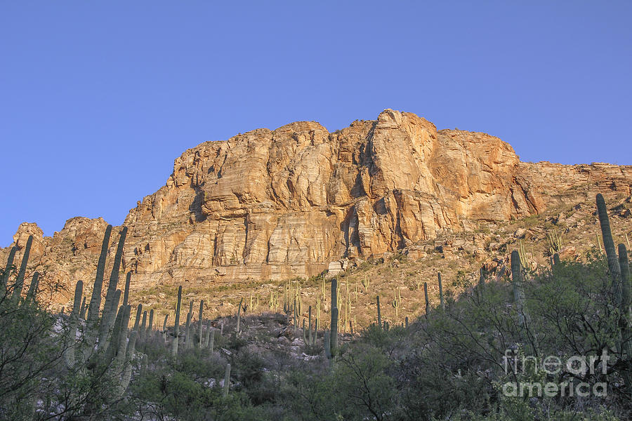 Sabino Canyon Wall 1 Photograph by Jemmy Archer