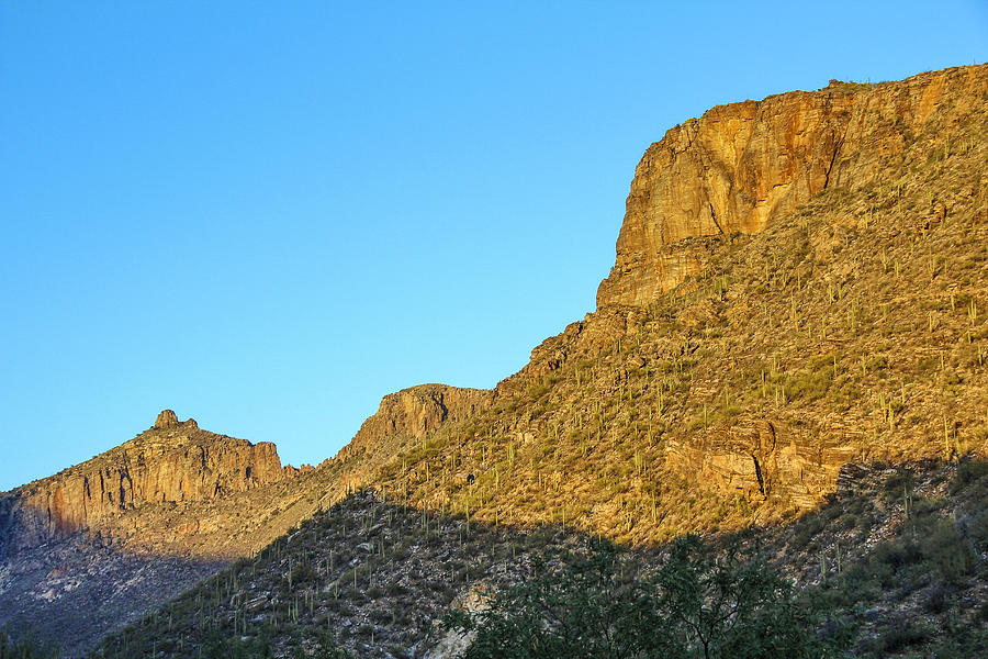 Sabino Canyon Wall 2 Photograph by Jemmy Archer