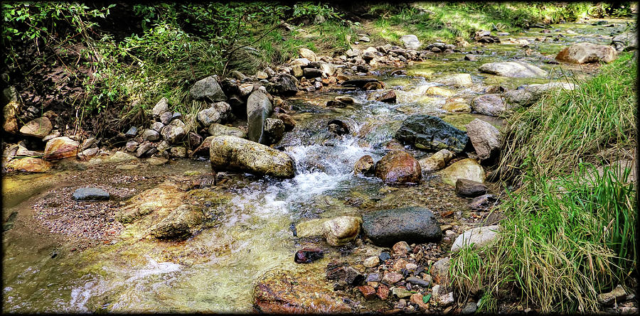 Sabino Creek Photograph by Elaine Malott