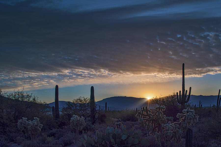 Sabino Sunrise Photograph by Dan McManus