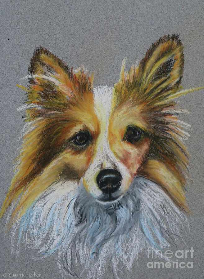 Sable And White Pastel by Susan Herber