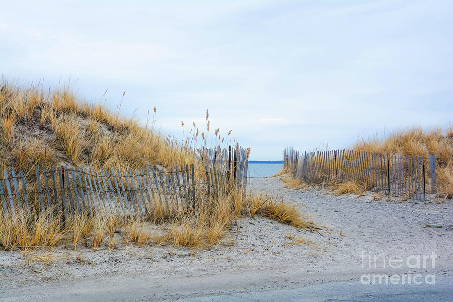 Sachuest Beach 1 Photograph by Lisa Kilby