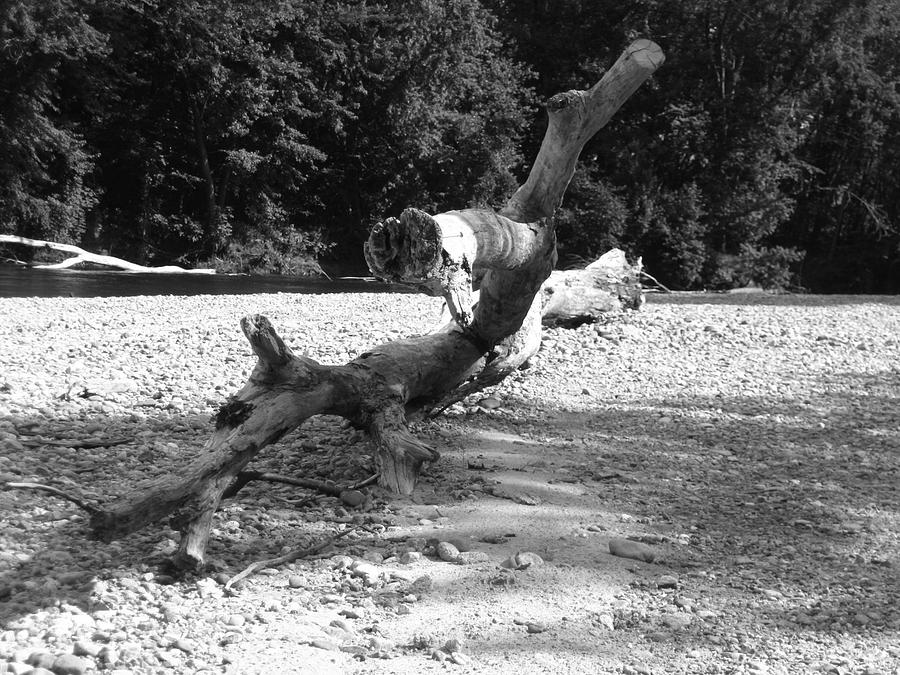 Landscape Photograph - Saco River B And W by David OShea Landscape Photograph - Saco River B And W by David OShea