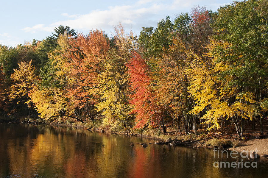 Saco River Color Photograph by Bob Phillips